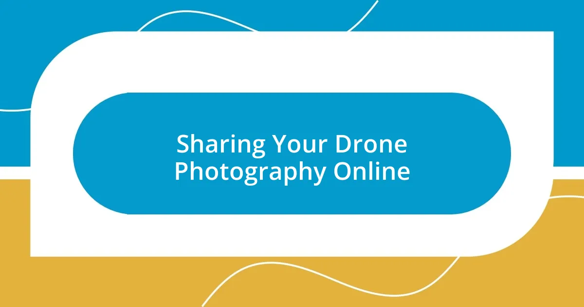 Sharing Your Drone Photography Online