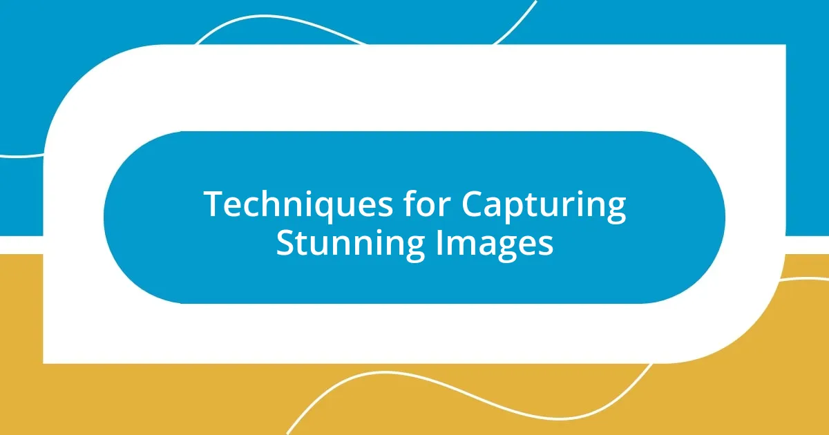 Techniques for Capturing Stunning Images