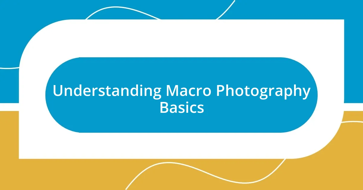 Understanding Macro Photography Basics