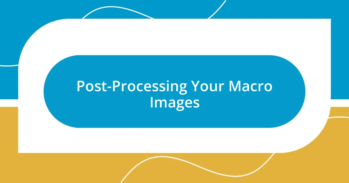 Post-Processing Your Macro Images