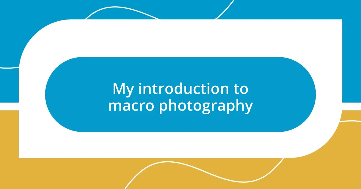 My introduction to macro photography